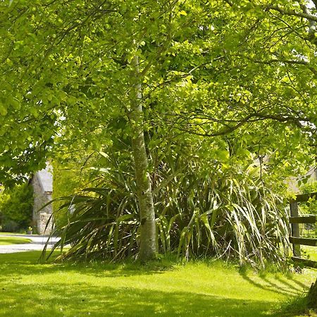 Courtyard Cottages Tralee Rum bild