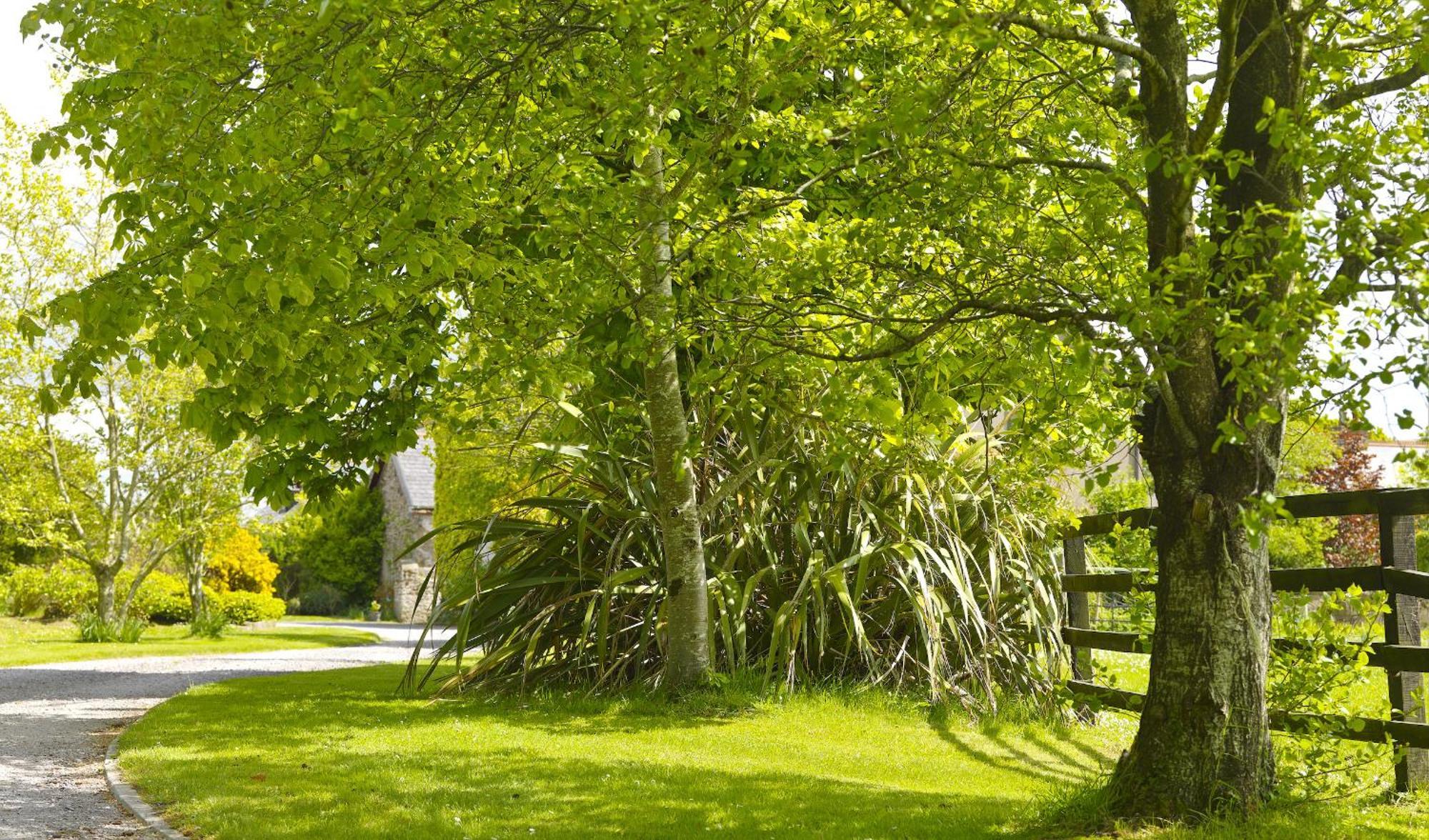 Courtyard Cottages Tralee Rum bild