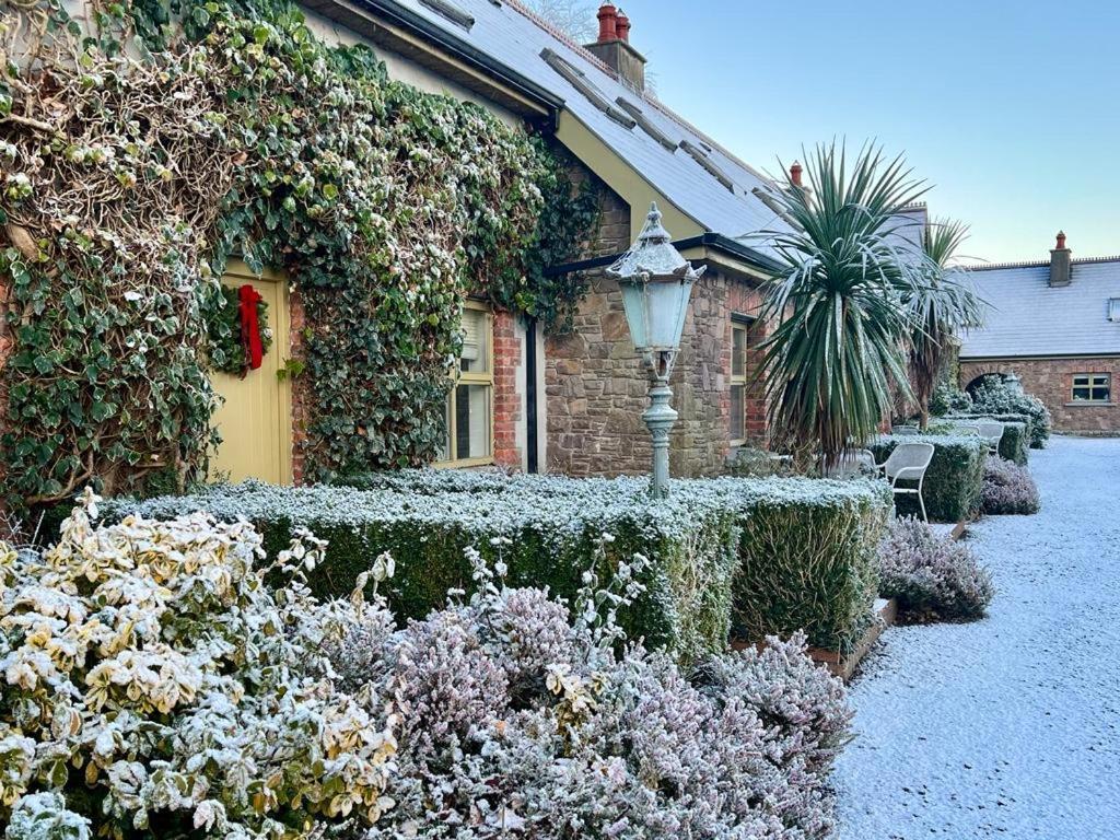 Courtyard Cottages Tralee Exteriör bild